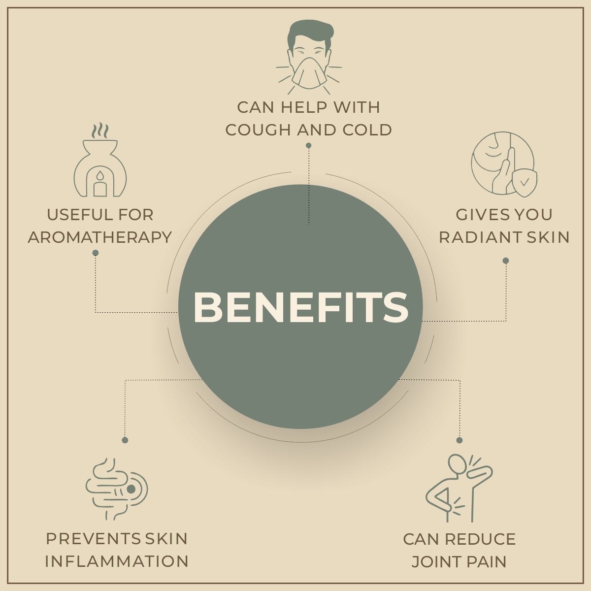 Salvia Natural Carrier Oils Sugandha Kokila Oil Salvia Natural Carrier Oils Sugandha Kokila Oil